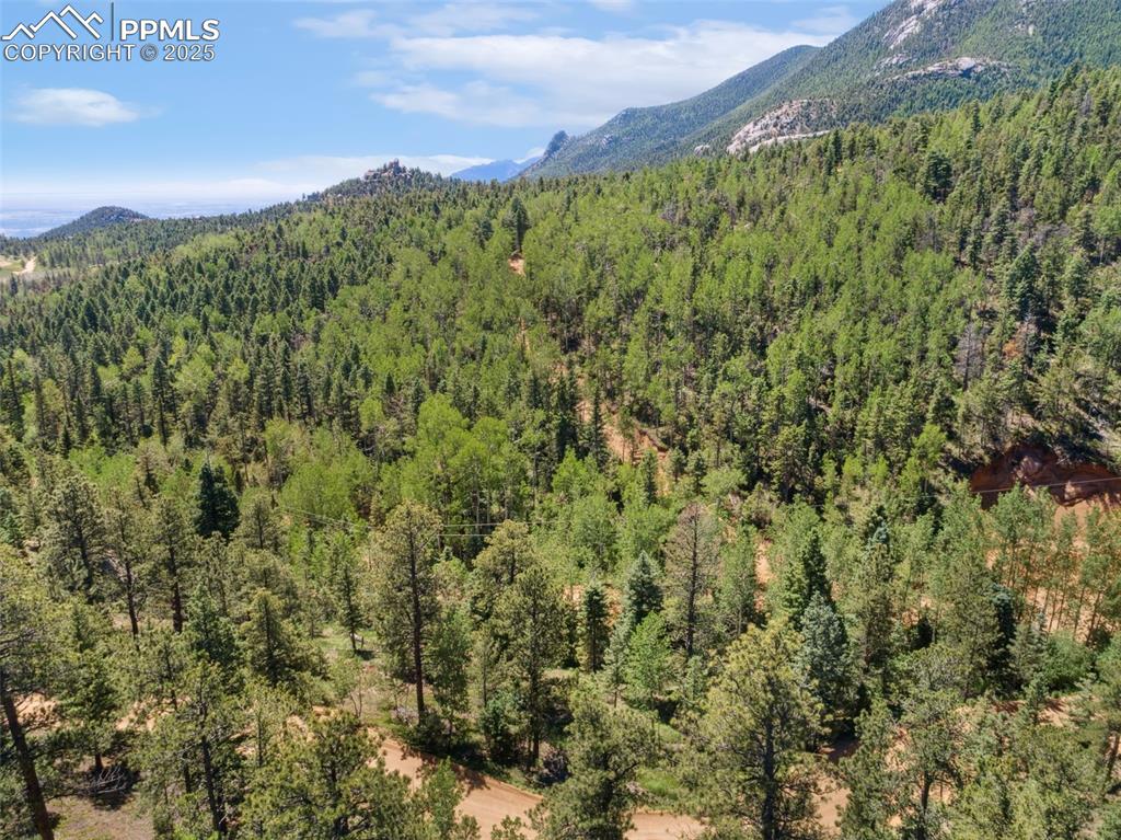6050 Coffee Pot Road Manitou Springs, CO 80829 - Photo 18 of 34 a view of a green field with lots of bushes