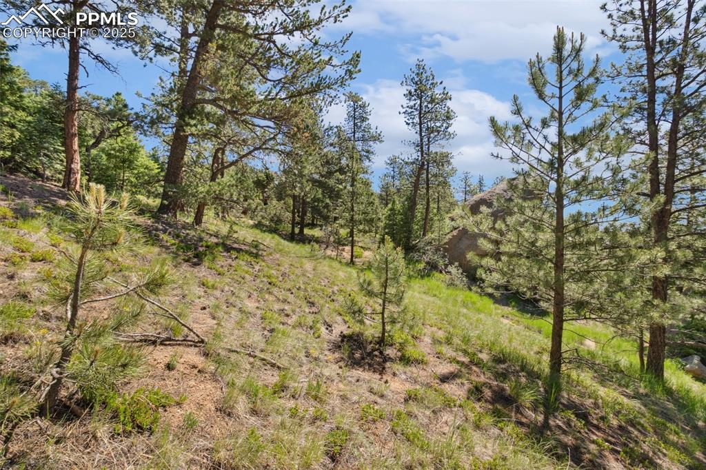 6050 Coffee Pot Road Manitou Springs, CO 80829 - Photo 22 of 34 a view of a yard with trees and bushes