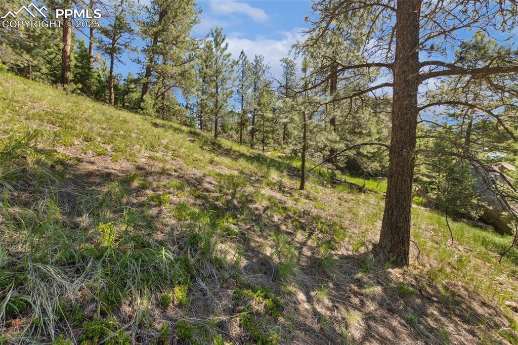 6050 Coffee Pot Road Manitou Springs, CO 80829 - Photo 23 of 34 a view of a yard with trees