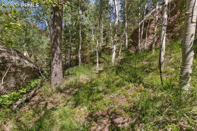 a view of a lake with a yard and large trees