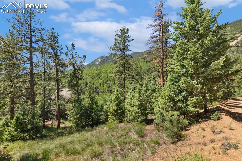 6050 Coffee Pot Road Manitou Springs, CO 80829 - Photo 3 of 34