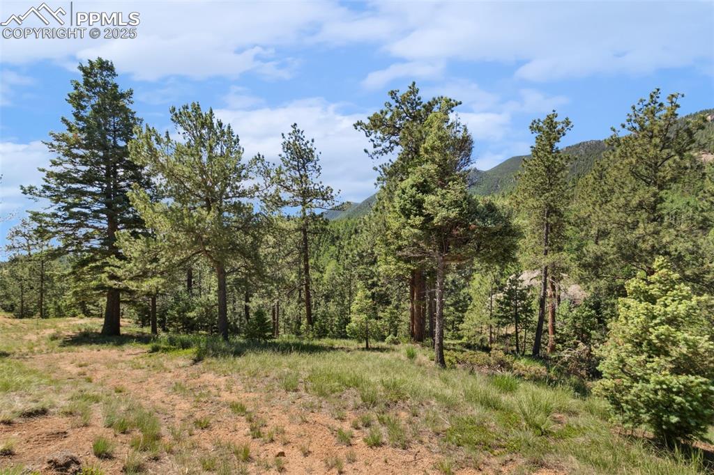 6050 Coffee Pot Road Manitou Springs, CO 80829 - Photo 7 of 34 a view of a yard with trees