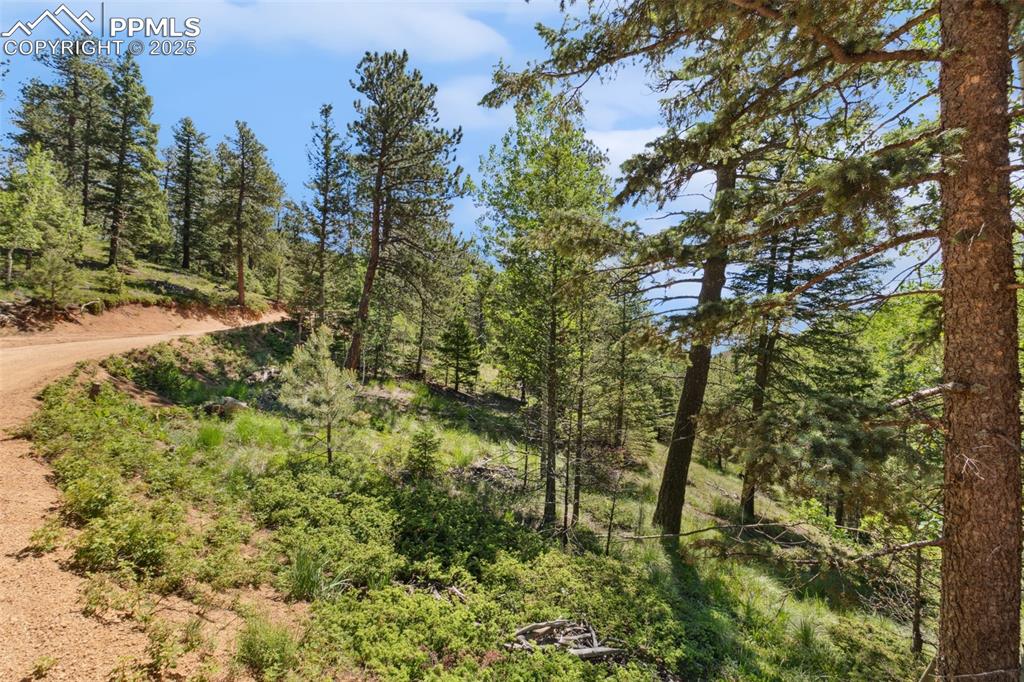 6050 Coffee Pot Road Manitou Springs, CO 80829 - Photo 8 of 34