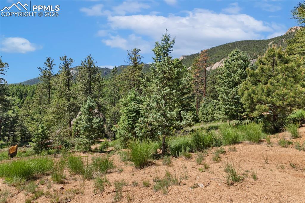 6050 Coffee Pot Road Manitou Springs, CO 80829 - Photo 9 of 34