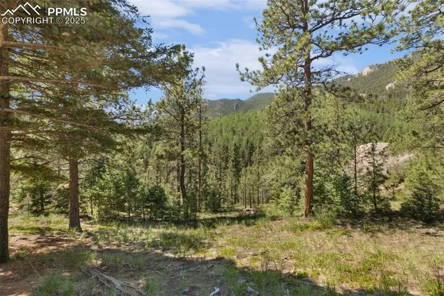 a view of a city with green space