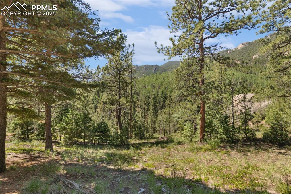 6050 Coffee Pot Road Manitou Springs, CO 80829 - Photo 10 of 34 a view of a yard with trees