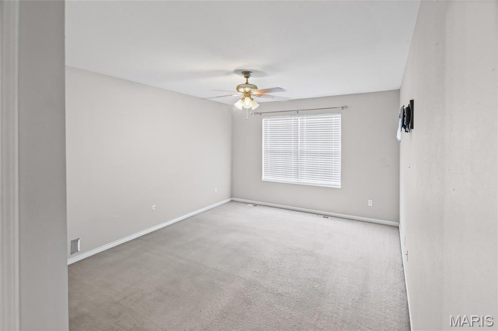 424 Edwin Drive Dupo, IL 62239 - Photo 30 of 53 Gallery Image 30