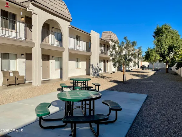 a outdoor living room with furniture and a potted plant