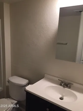 a bathroom with a sink and a toilet