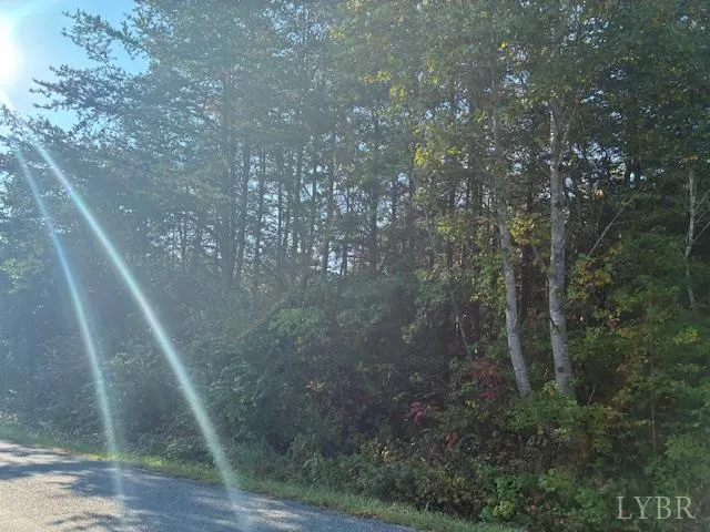 a view of a forest with a yard