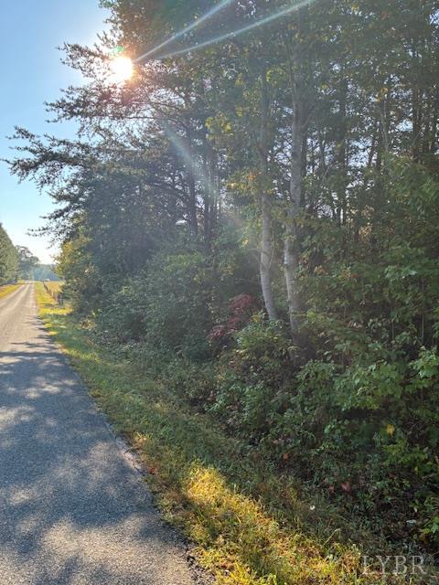 0 Piney Grove Road Gretna, VA 24557 - Photo 3 of 4 a view of a forest with a yard