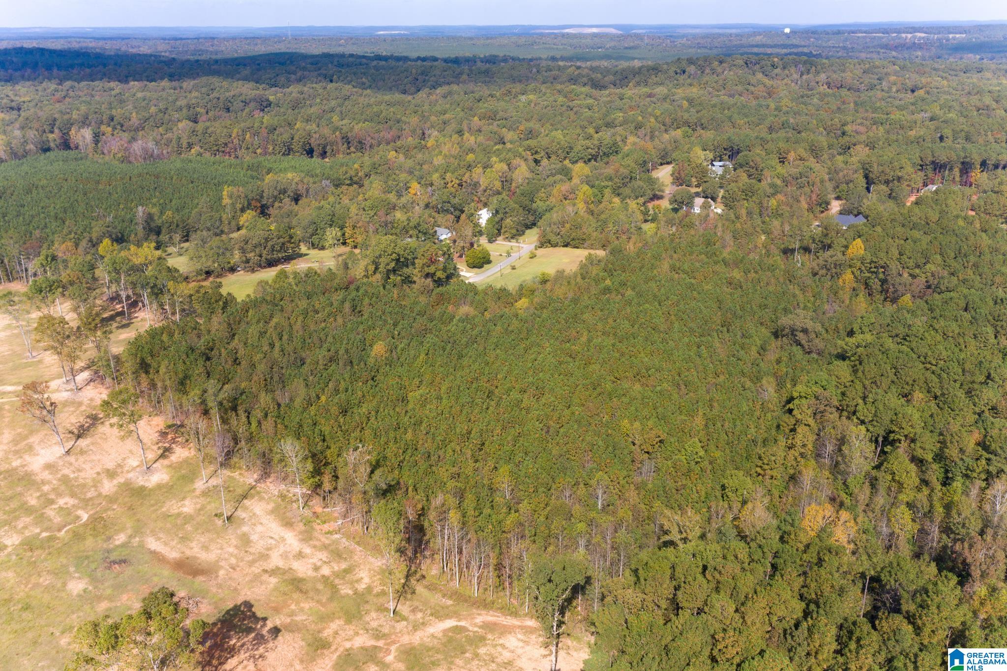0 Olde S Spur McCalla, AL 35111 - Photo 17 of 25
