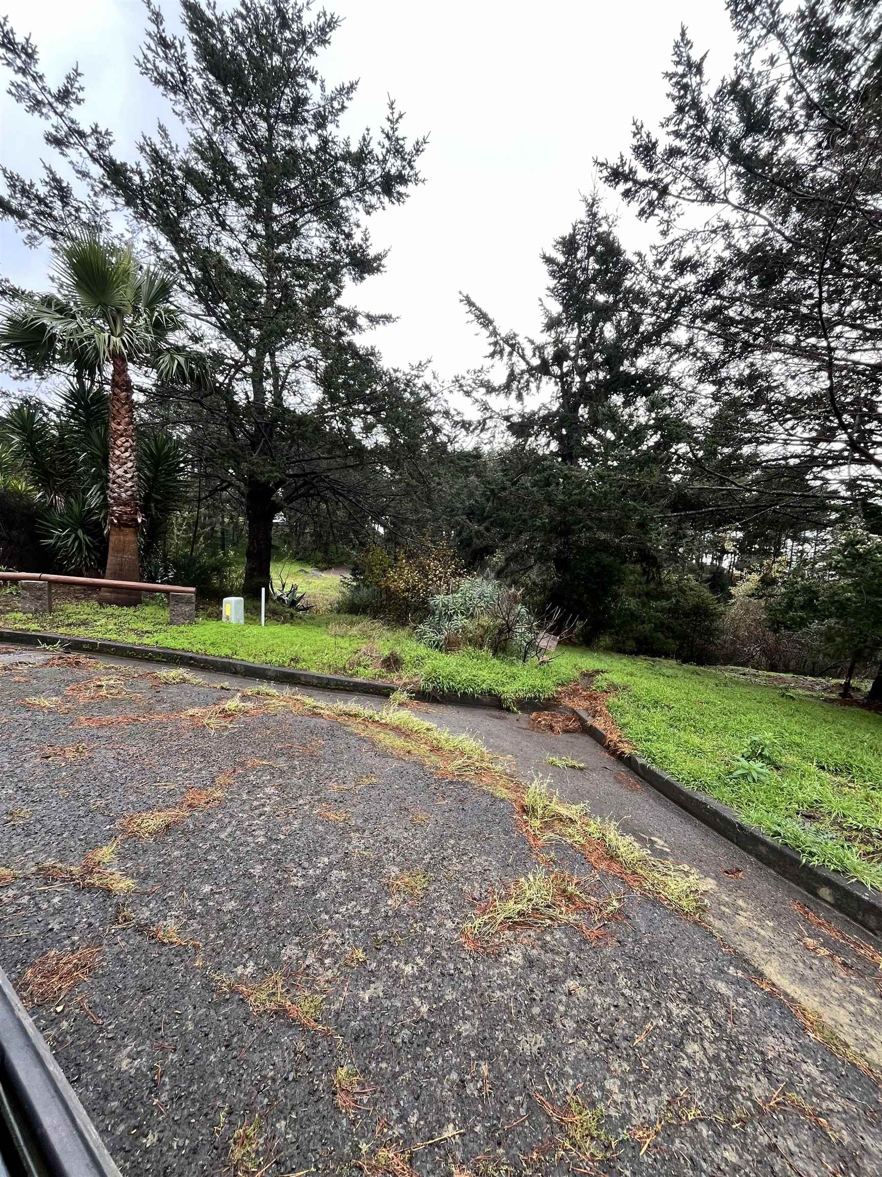 22 Spruce Court Whitethorn, CA 95589 - Photo 4 of 6