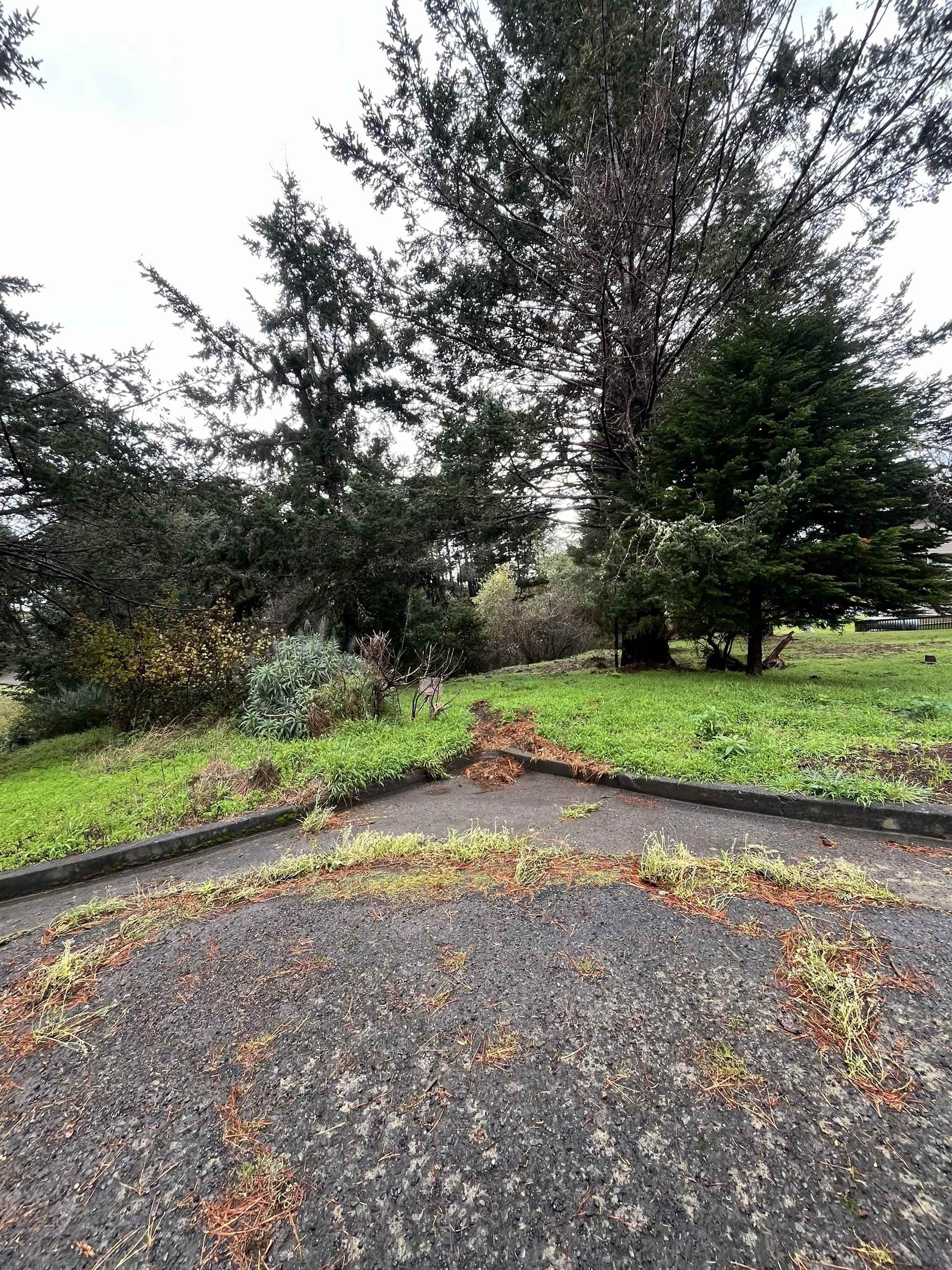 22 Spruce Court Whitethorn, CA 95589 - Photo 5 of 6