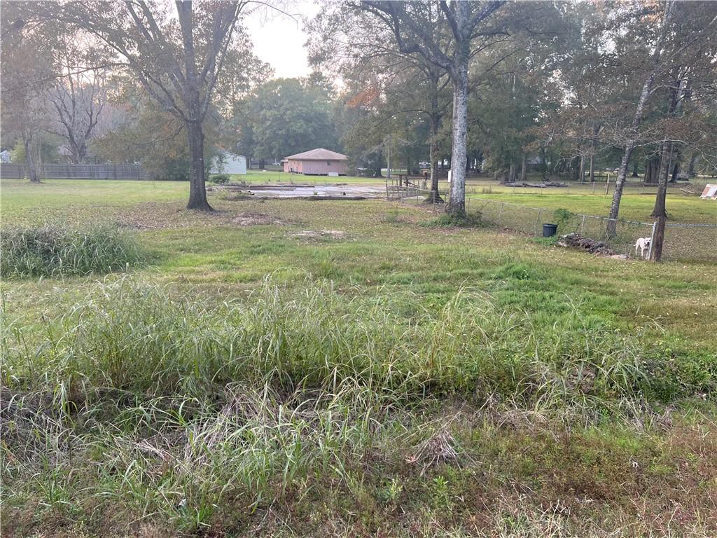 25361 Juban Road Denham Springs, LA 70726 - Photo 1 of 10