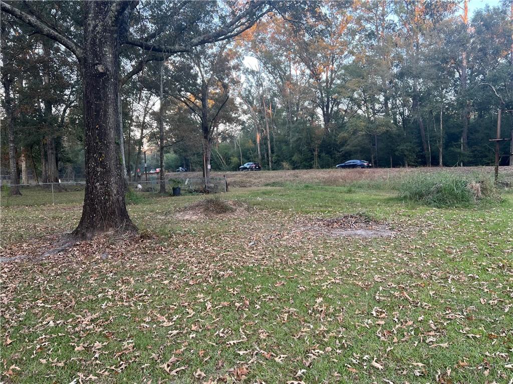 25361 Juban Road Denham Springs, LA 70726 - Photo 2 of 10