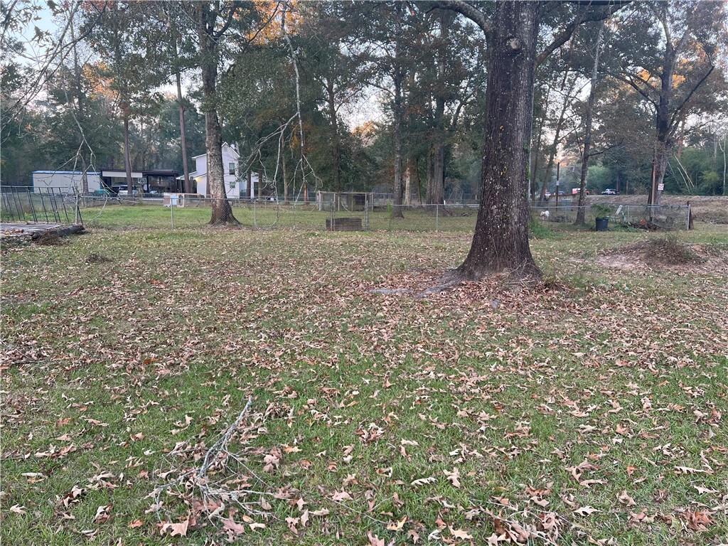 25361 Juban Road Denham Springs, LA 70726 - Photo 3 of 10