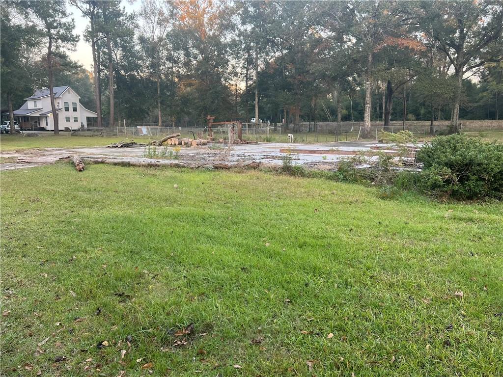 25361 Juban Road Denham Springs, LA 70726 - Photo 9 of 10