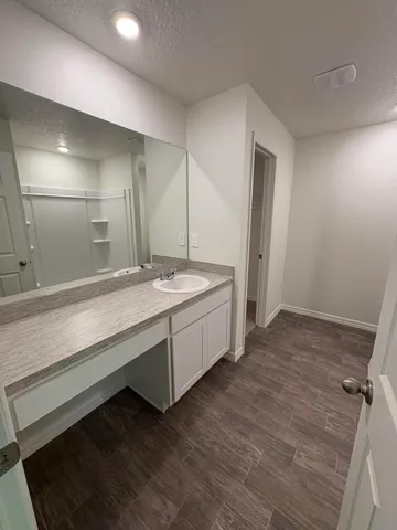 a bathroom with a sink and a mirror