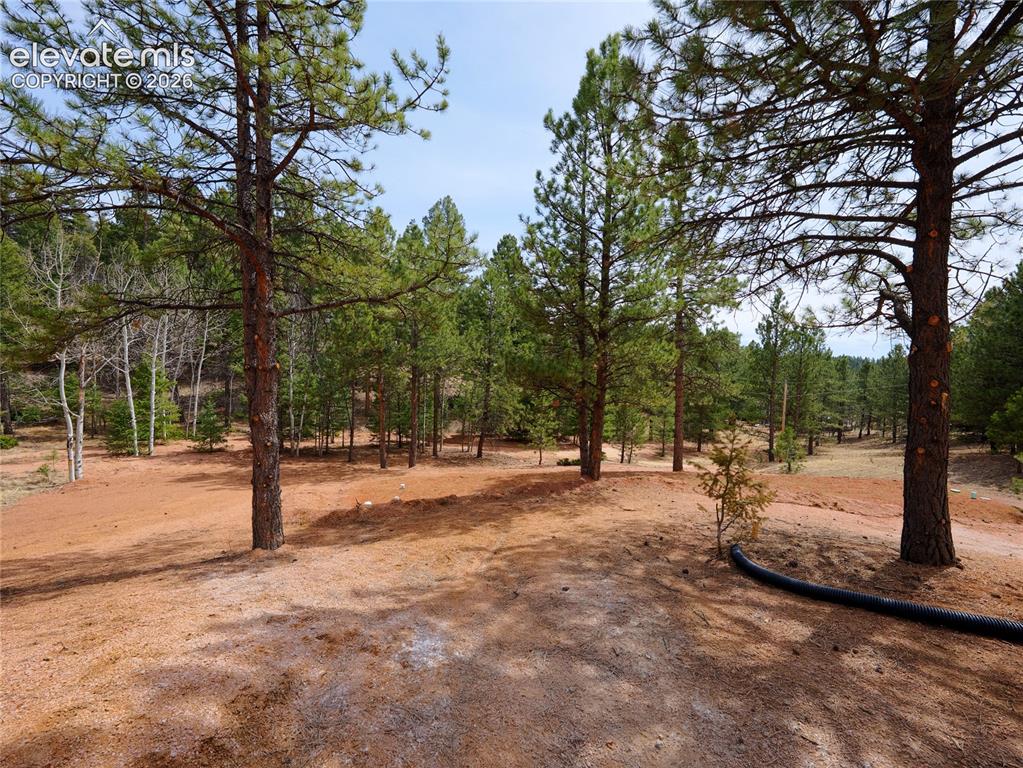 748 Pinewood Road Florissant, CO 80816 - Photo 40 of 46