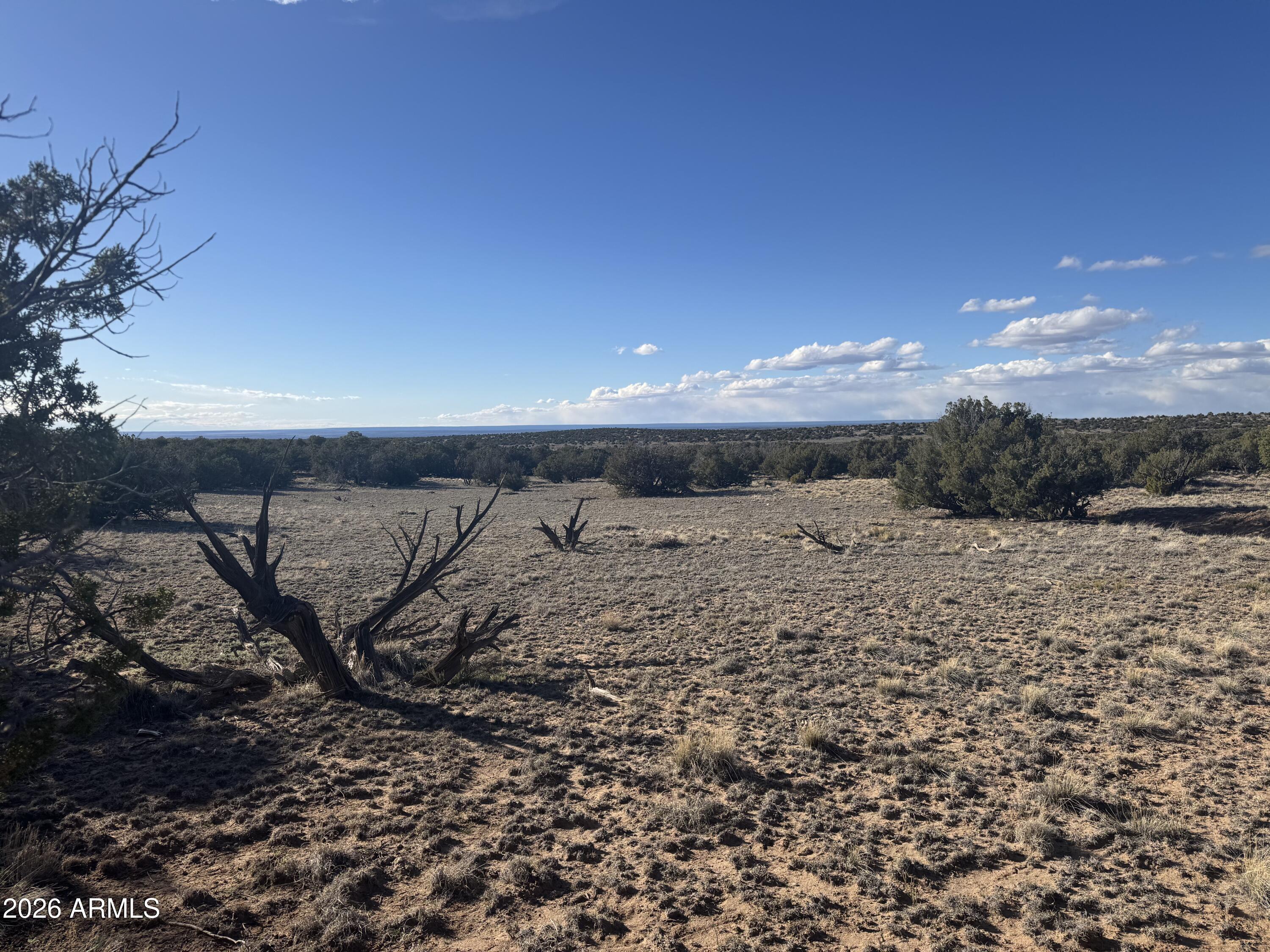 Lot 93 Red Sky Ranch, Unit 93 St. Johns, AZ 85936 - Photo 9 of 15 a view of a dry yard