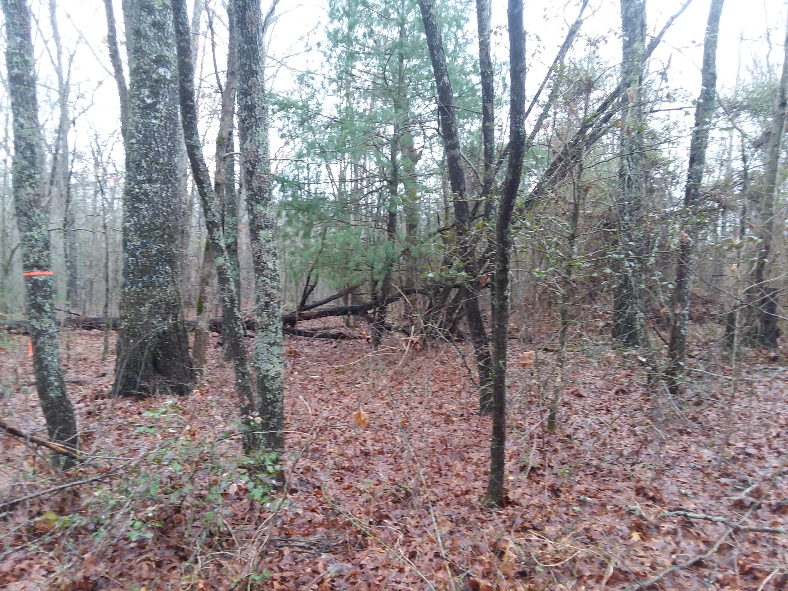 12 Brewer Road, Unit 12 Pikeville, TN 37367 - Photo 8 of 12 20190222_152208