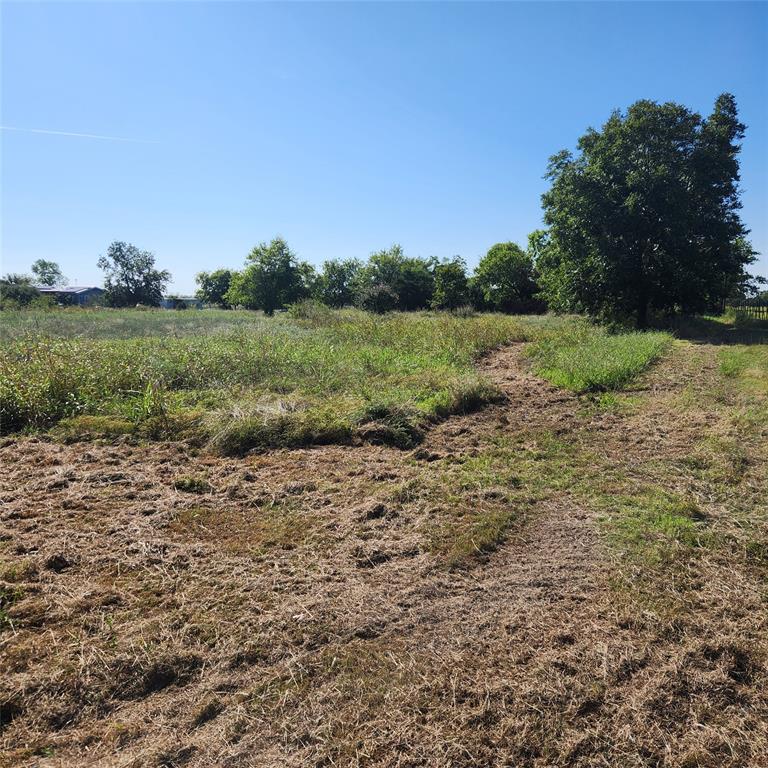 694 Bledsoe Road Gunter, TX 75058 - Photo 3 of 4 a view of a field with plants and trees