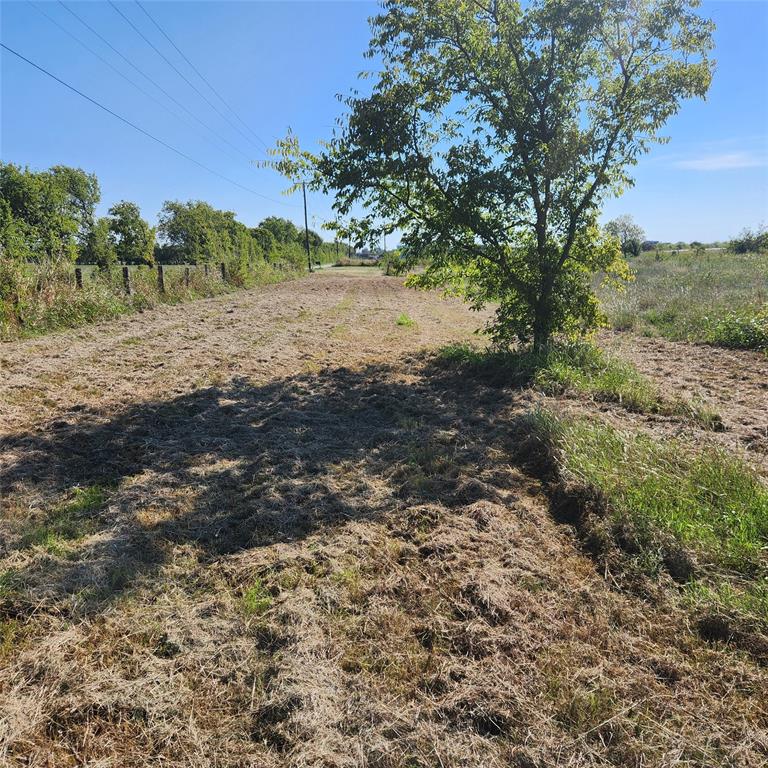 694 Bledsoe Road Gunter, TX 75058 - Photo 4 of 4 a view of a yard with a tree