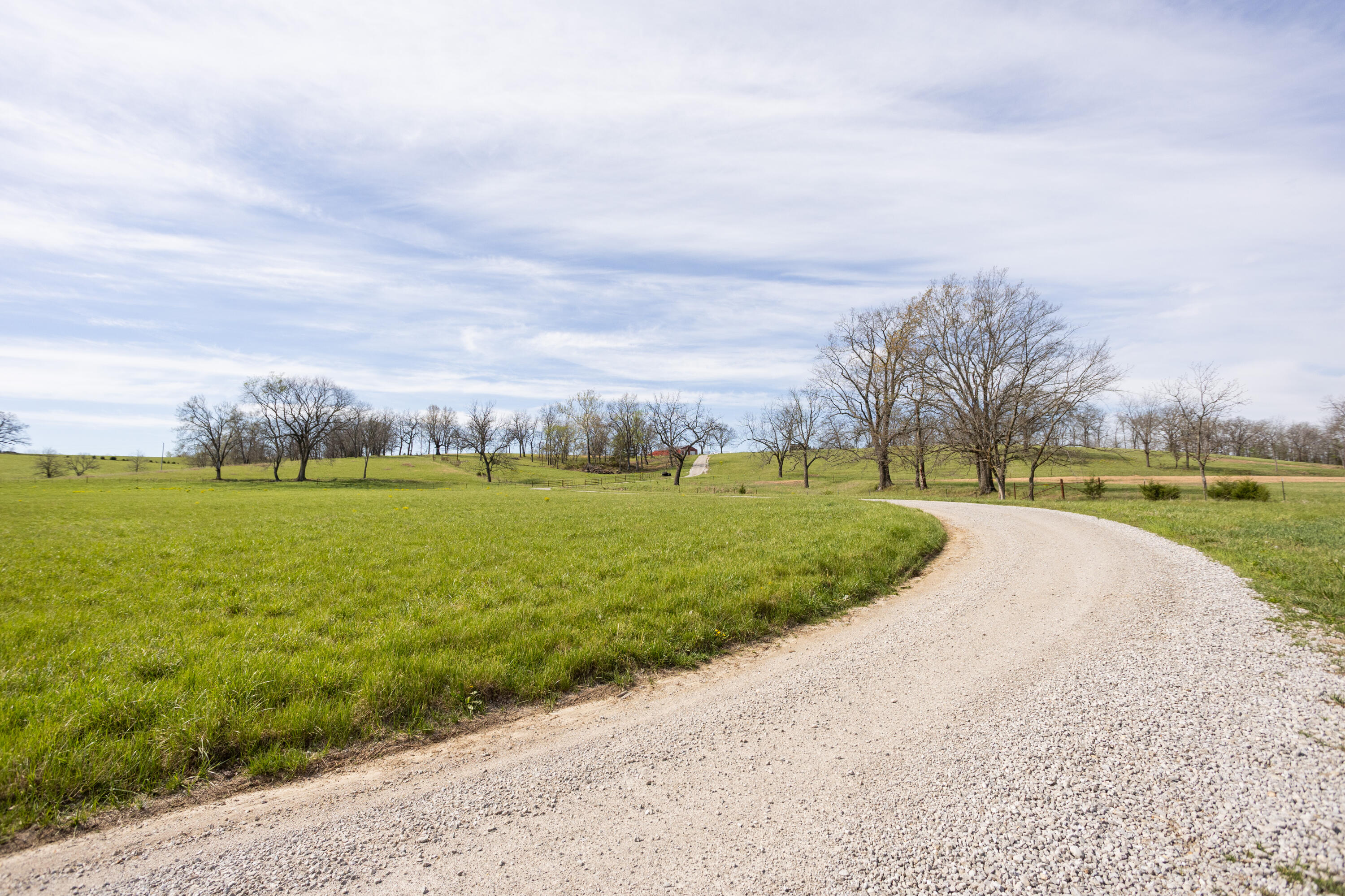 9795 Co Road Ava, MO 65608 - Photo 2 of 93 Douglas198(MLSRES)-18