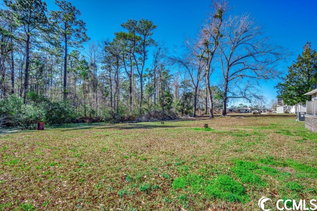 5688 Westmoreland Road Conway, SC 29526 - Photo 16 of 20 Gallery Image 16