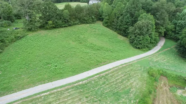 a view of a yard with a plants