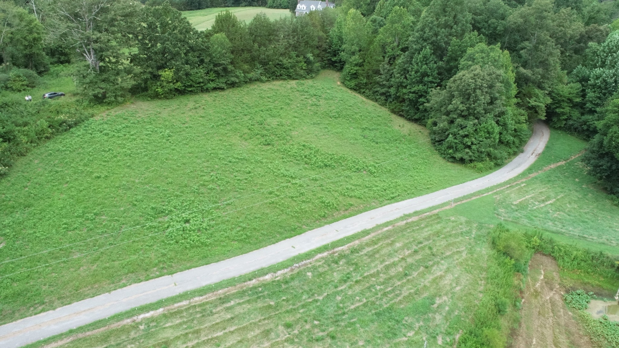 a view of a yard with a plants