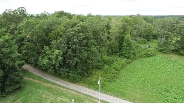 a view of a garden from a balcony