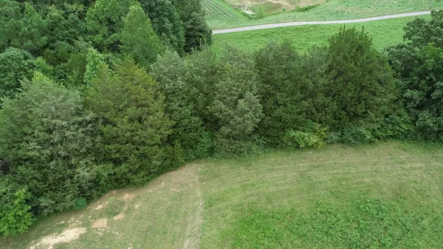a view of a field with a trees in the background