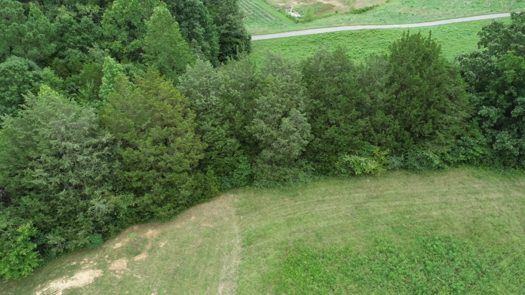 0 Dunn Road Baxter, TN 38544 - Photo 3 of 11 a view of a field with a trees in the background