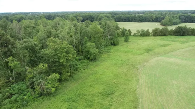 a view of an outdoor space and a yard