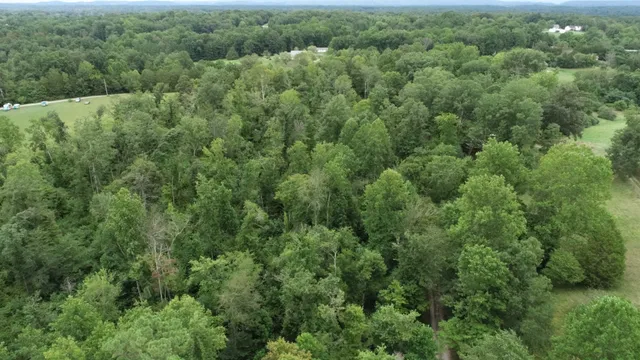 an aerial view of residential house with outdoor space and trees all around