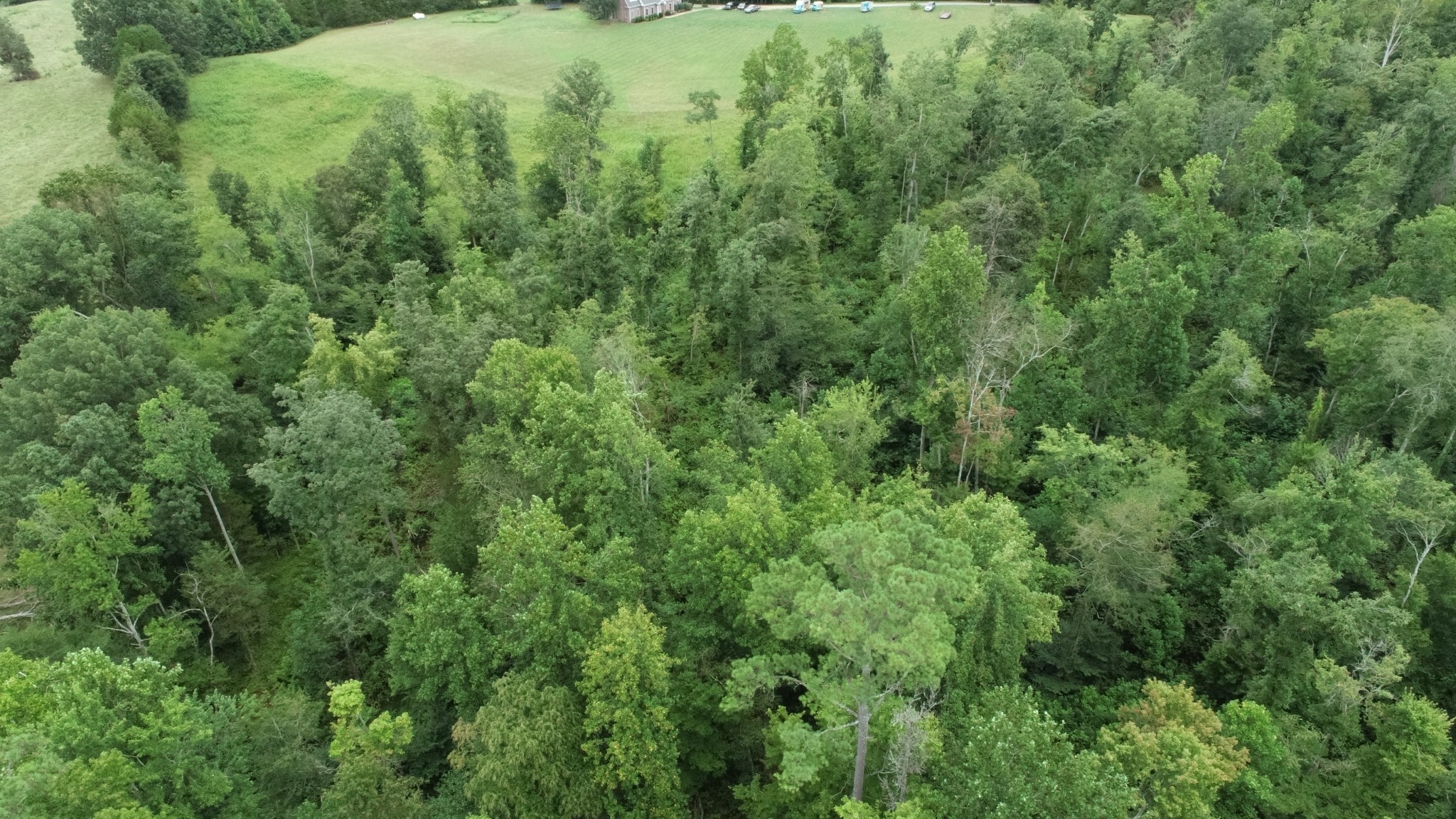 0 Dunn Road Baxter, TN 38544 - Photo 9 of 11 a view of a lush green forest with lawn chairs and large trees