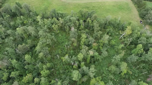 a view of a large yard with lots of green space
