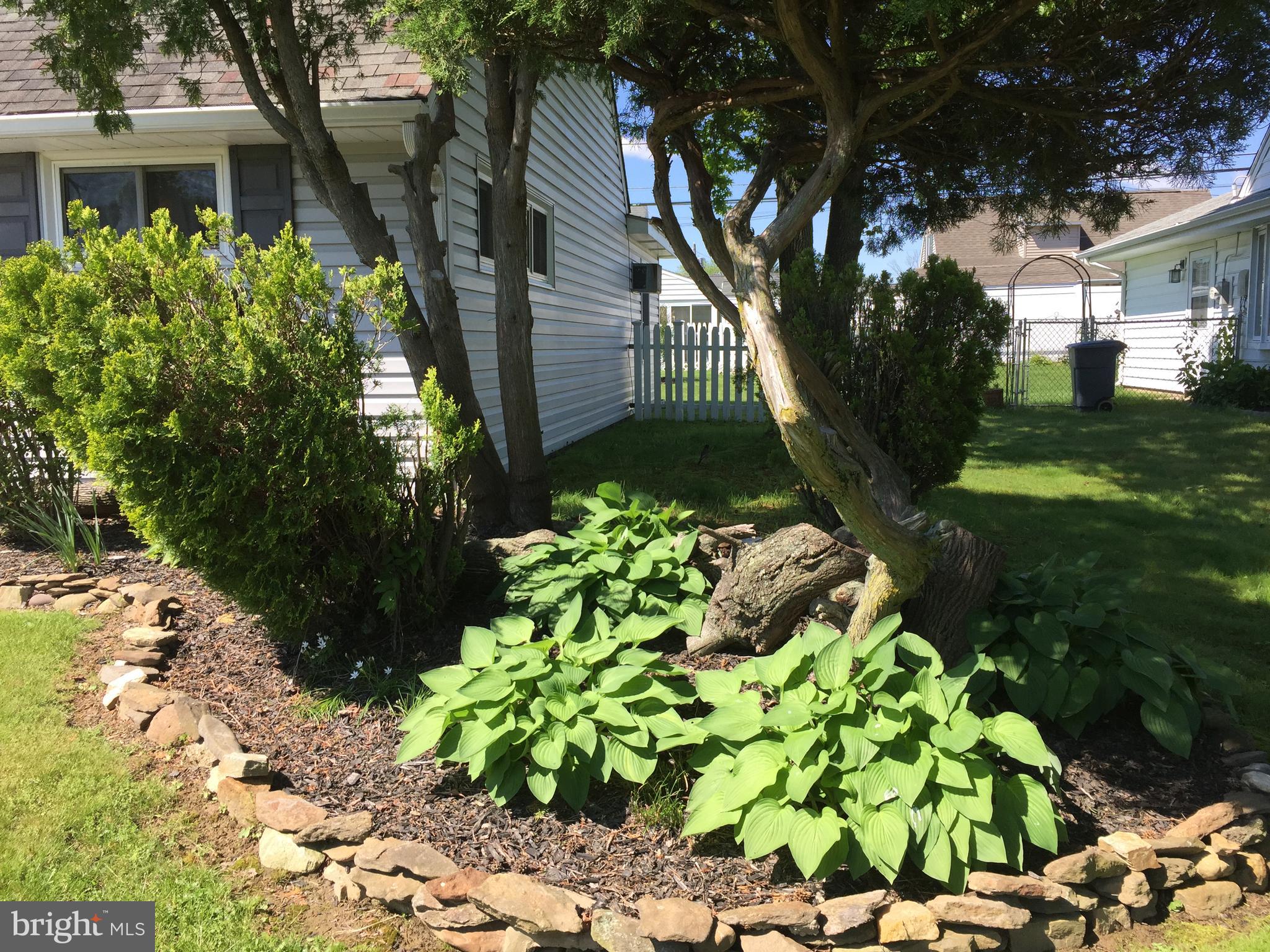 Right side yard