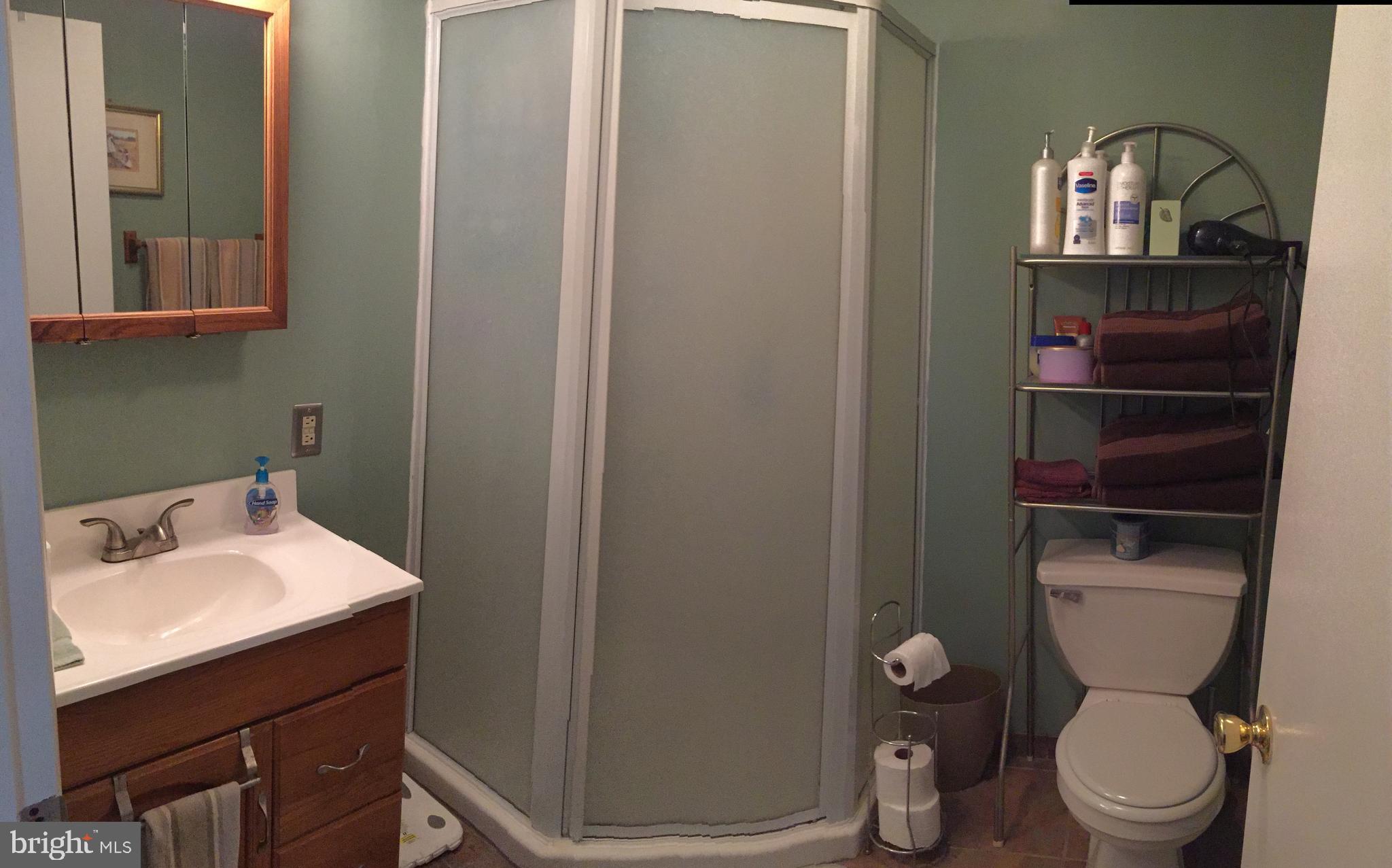 37 Cliff Road Levittown, PA 19057 - Photo 35 of 72 Master bath