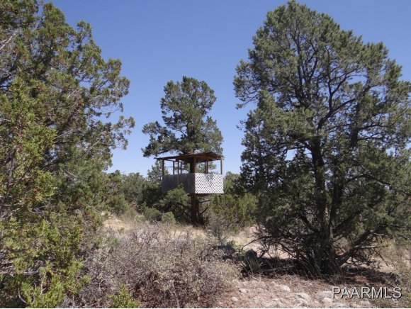 85 Shadow Rock Ranch Seligman, AZ 86337 - Photo 3 of 10 Additional Photo