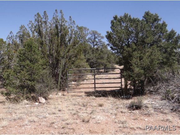 85 Shadow Rock Ranch Seligman, AZ 86337 - Photo 4 of 10 Additional Photo