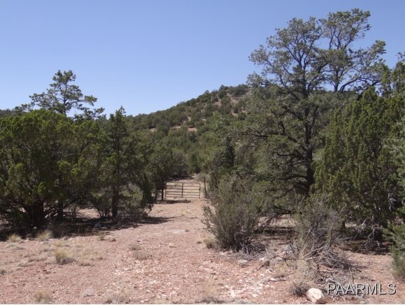 85 Shadow Rock Ranch Seligman, AZ 86337 - Photo 6 of 10 Additional Photo