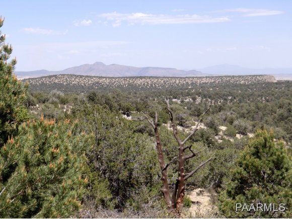 85 Shadow Rock Ranch Seligman, AZ 86337 - Photo 7 of 10 Additional Photo