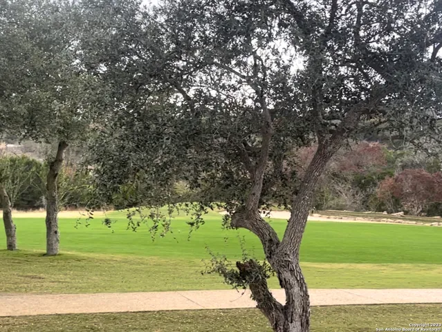 a view of a golf course with a trees
