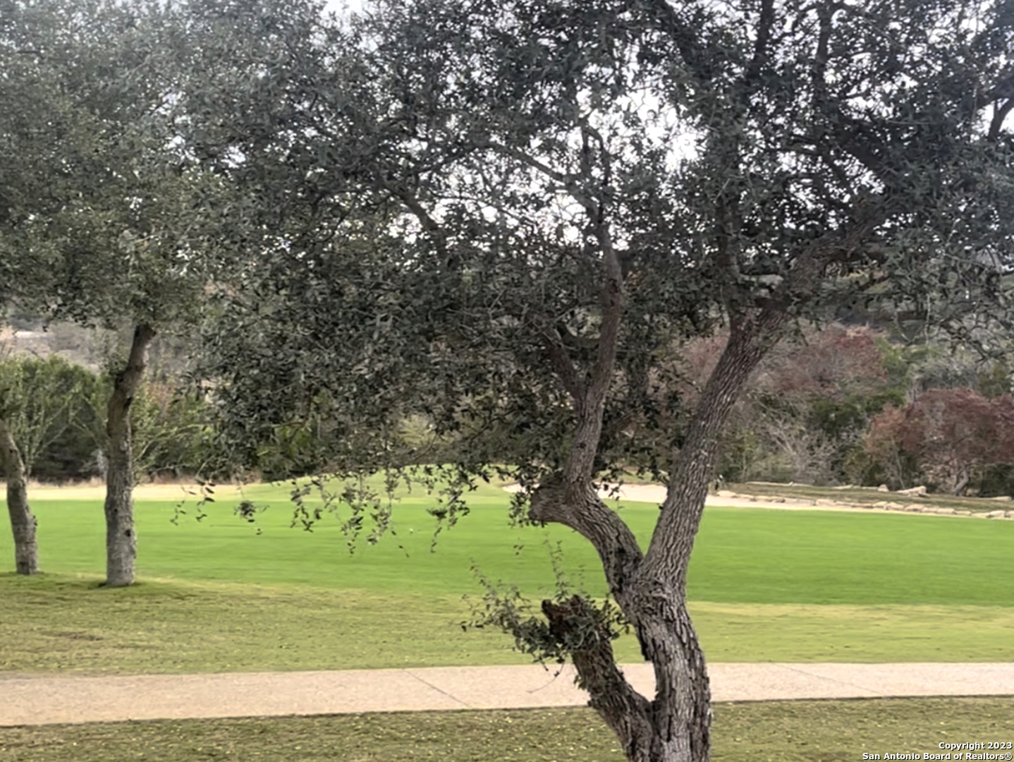 101 Daniel Jackson Blanco, TX 78606 - Photo 10 of 11 a view of a golf course with a trees