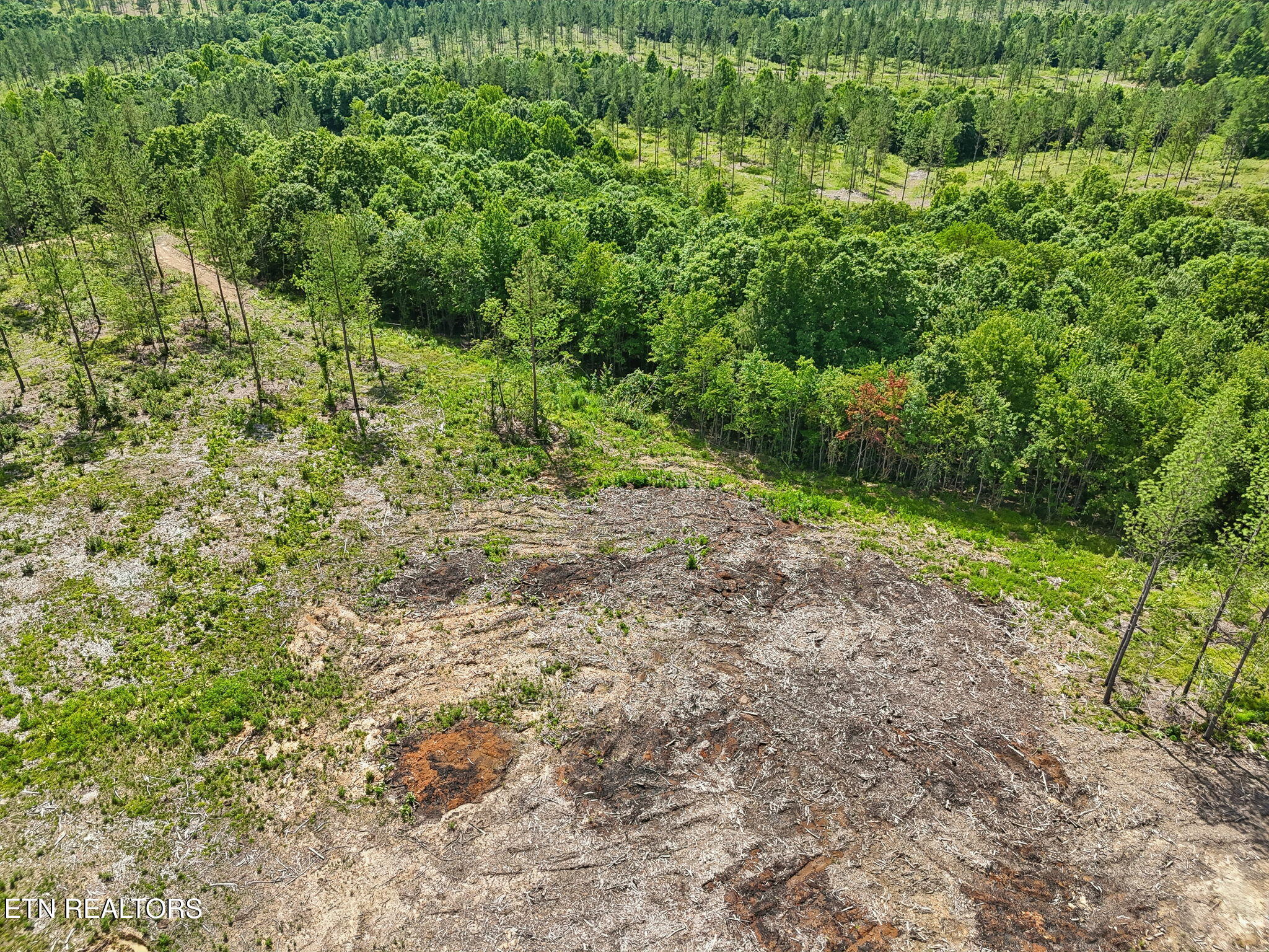 Sheep Ranch Road, Unit 24 Robbins, TN 37852 - Photo 26 of 33 17-Sheep Ranch Rd-017