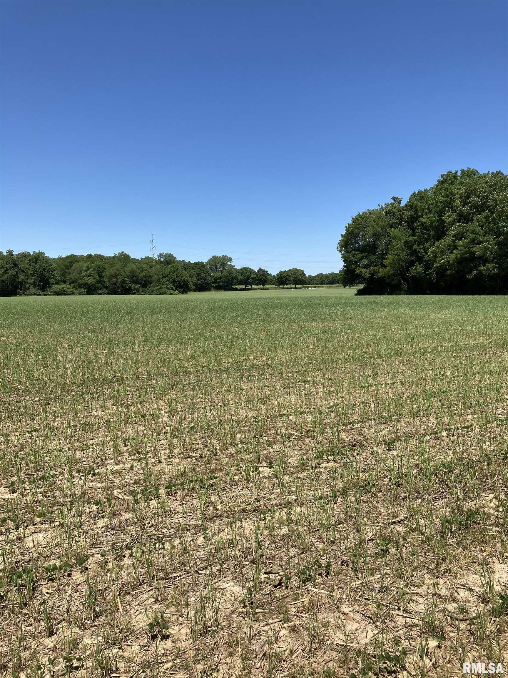 0 West Singing Woods Road Dunlap, IL 61525 - Photo 17 of 78