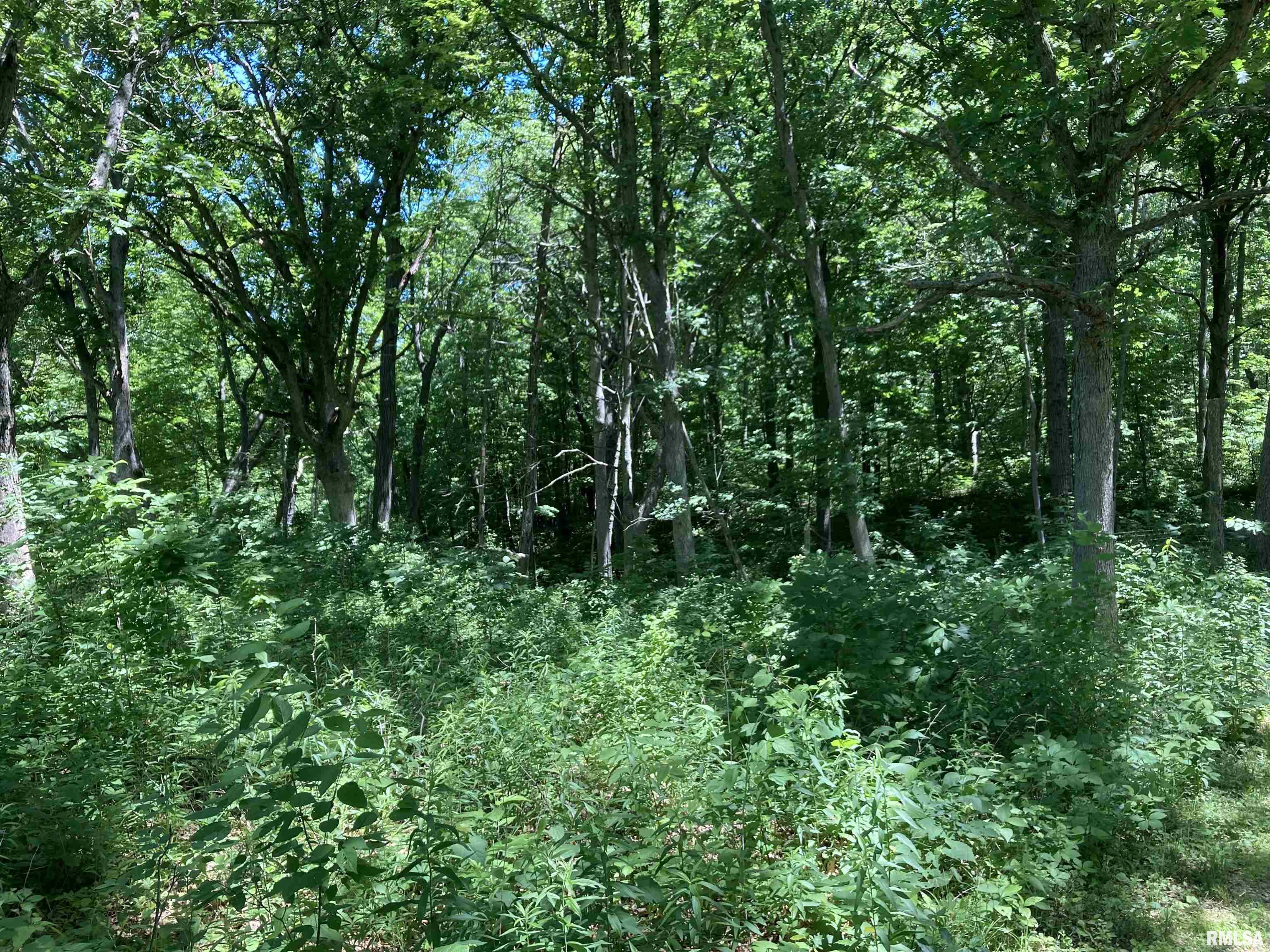 0 West Singing Woods Road Dunlap, IL 61525 - Photo 20 of 78